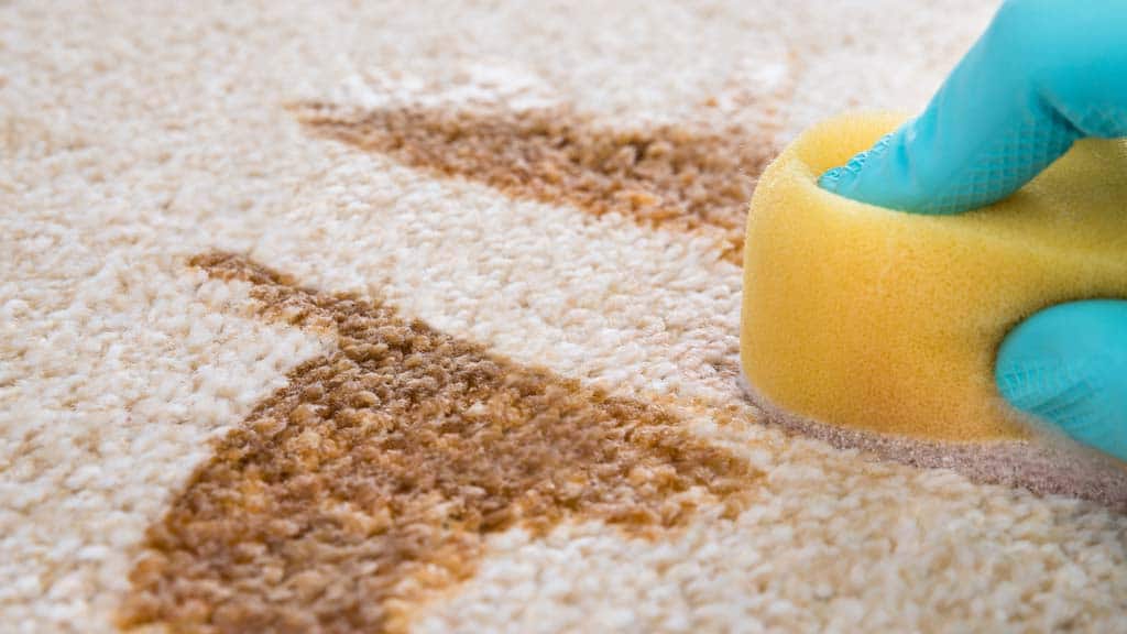 How to Remove Nail Polish from the Floor: Easy and Effective Methods for Every Surface