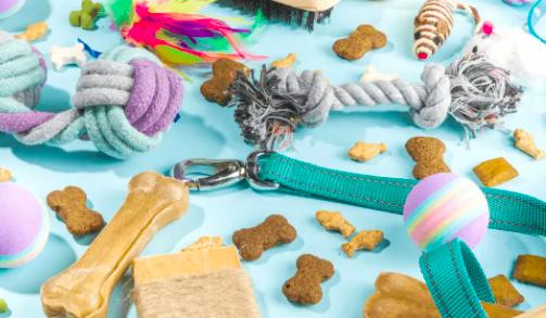 How to Clean Your Pet’s Supplies: A Complete Guide for a Healthy Home